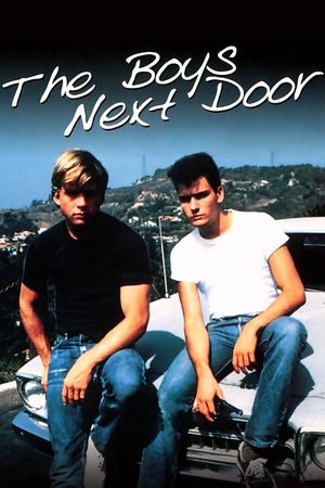 The Boys Next Door's poster