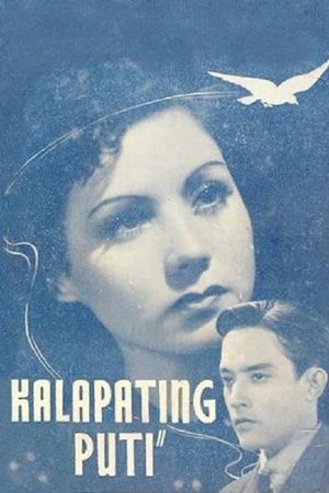 Kalapating puti's poster