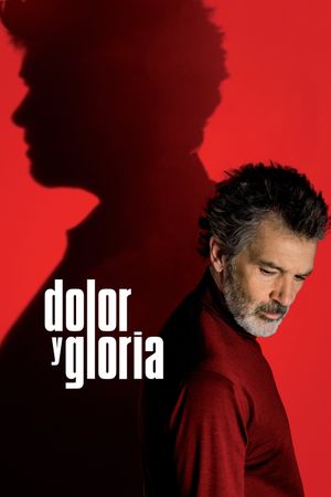 Pain and Glory's poster