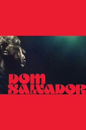 Dom Salvador & The Abolition's poster image