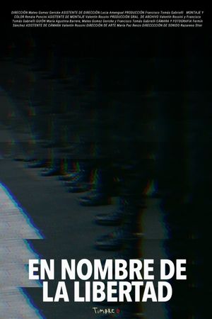 In the Name of Liberty's poster