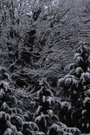 Snow Film's poster