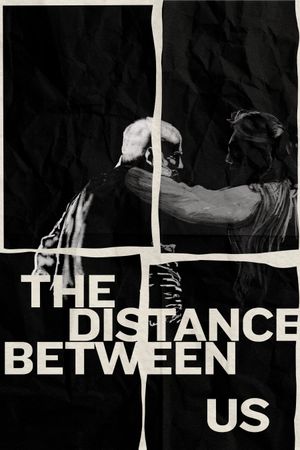 The Distance Between Us's poster