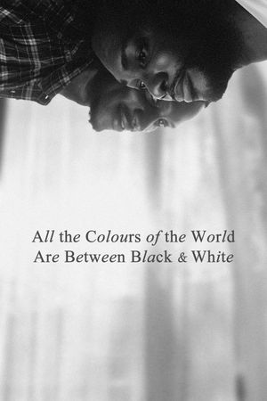 All the Colours of the World Are Between Black and White's poster