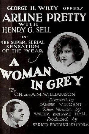 A Woman in Grey's poster
