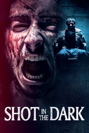 Shot in the Dark's poster