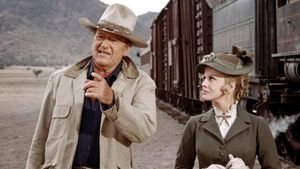 The Train Robbers's poster