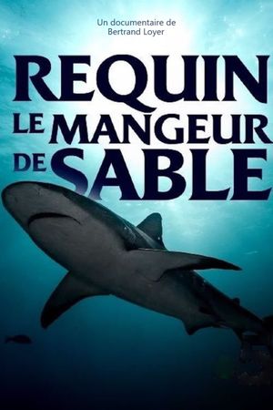 Requin - Le mangeur de sable's poster