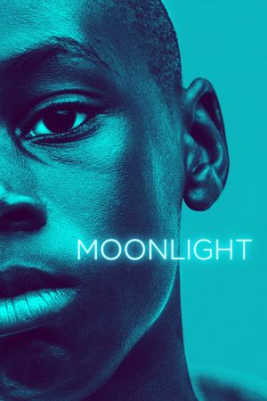 Moonlight's poster