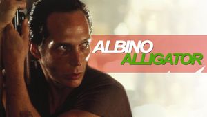 Albino Alligator's poster