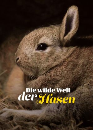 Die verrückte Welt der Kaninchen's poster