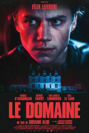 Le domaine's poster