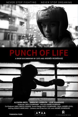 Punch of Life's poster