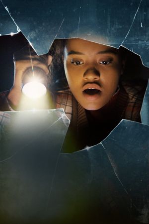 Susie Searches's poster