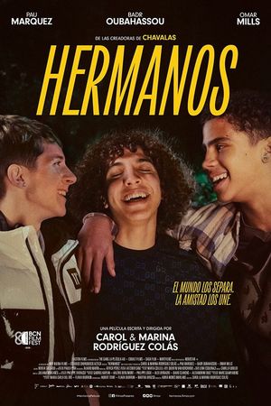 The Gang's poster image