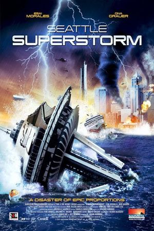 Seattle Superstorm's poster