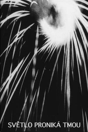 The Light Penetrates the Dark's poster