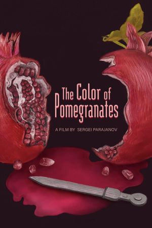 The Color of Pomegranates's poster