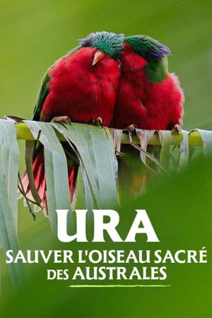 Ura, sauver l'oiseau sacré des australes's poster