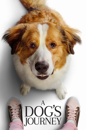 A Dog's Journey's poster image
