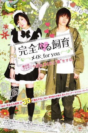 Perfect Education: Maid, for You's poster