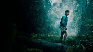 Lost on a Mountain in Maine's poster