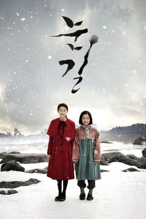 Snowy Road's poster