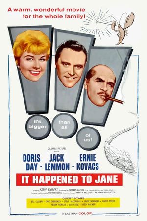 It Happened to Jane's poster