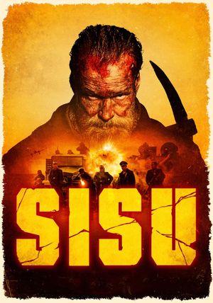 Sisu's poster