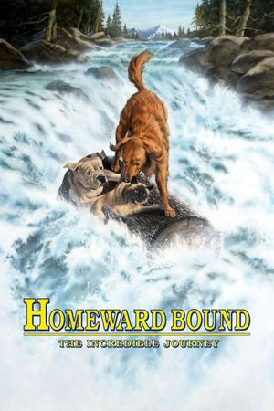 Homeward Bound: The Incredible Journey's poster