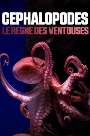 Cephalopods: The Reign of Suckers's poster