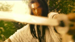 Ashes of Time's poster