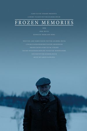Frozen Memories's poster