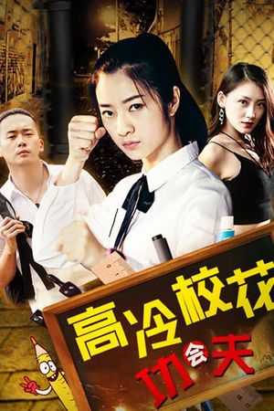 高冷校花会功夫's poster image