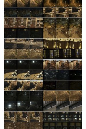 Interactions 20: Views 1, St.Louis's poster