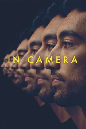 In Camera's poster