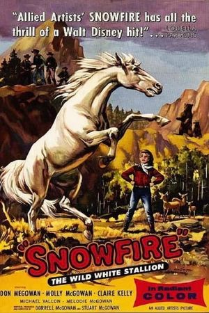 Snowfire's poster