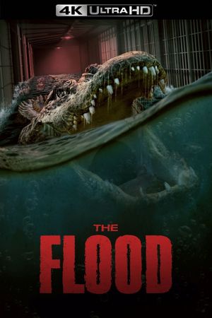 The Flood's poster