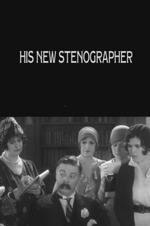 His New Stenographer's poster