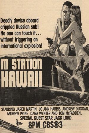 M Station: Hawaii's poster