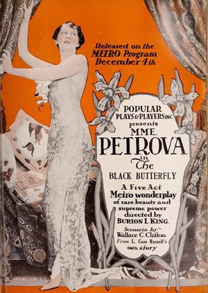 The Black Butterfly's poster