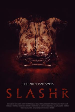 Slashr's poster image