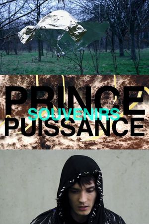 Prince, puissance, souvenirs's poster image