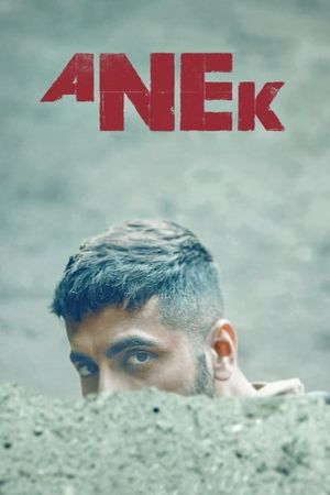 Anek's poster