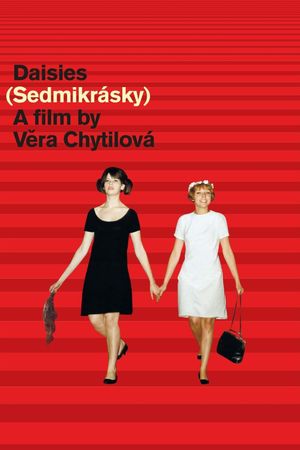 Daisies's poster