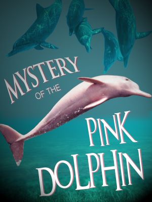 The Mystery of the Pink Dolphin's poster