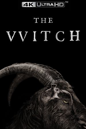 The Witch's poster