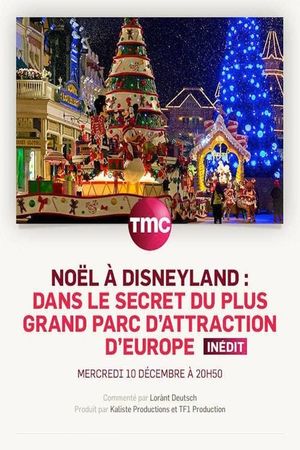 Noël à Disneyland : Dans le secret du plus grand parc d'attraction d'Europe's poster