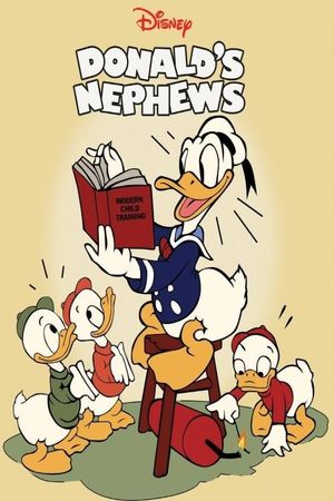 Donald's Nephews's poster