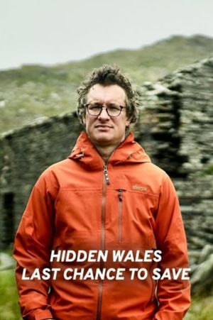 Hidden Wales: Last Chance to Save's poster